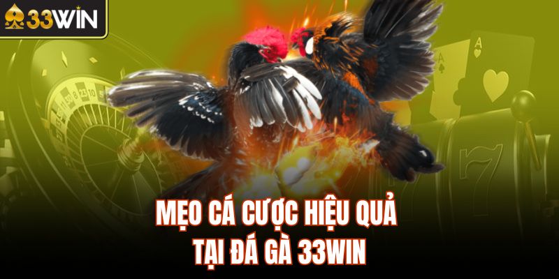 Mẹo cá cược hiệu quả tại đá gà 33Win